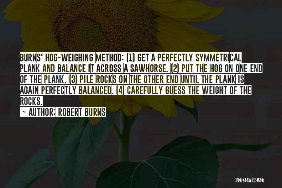 Weighing Things Quotes By Robert Burns