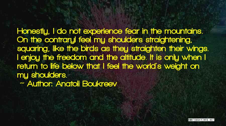 Weight Of The World On Your Shoulders Quotes By Anatoli Boukreev