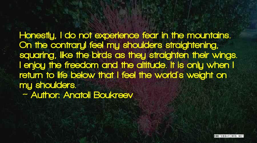 Weight On My Shoulders Quotes By Anatoli Boukreev