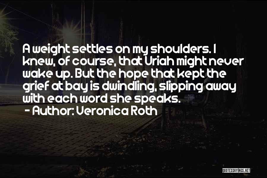 Weight On My Shoulders Quotes By Veronica Roth