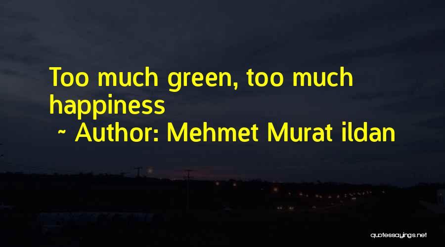 Weigold Electric Greenwich Quotes By Mehmet Murat Ildan
