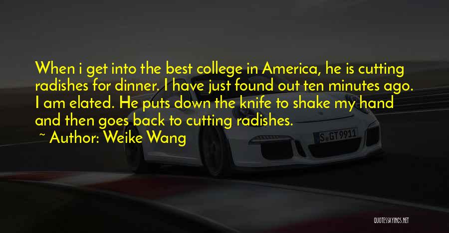 Weike Wang Quotes 1110312