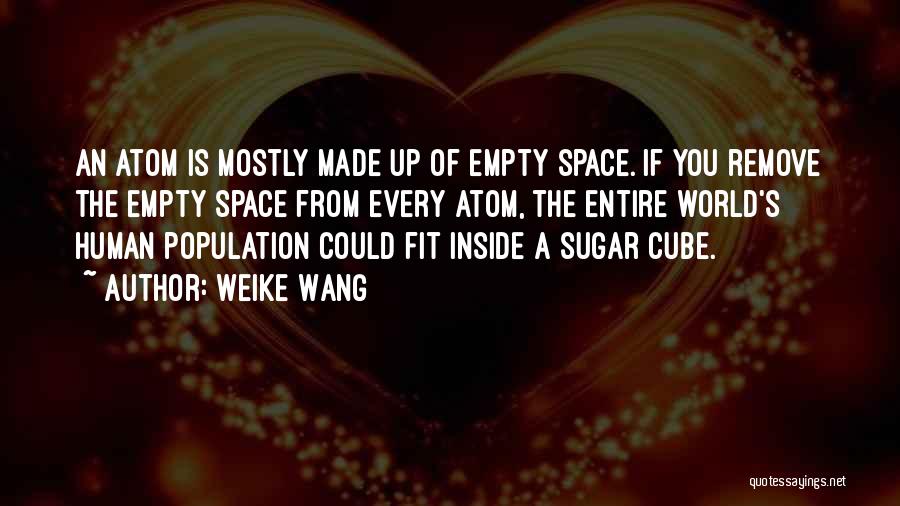 Weike Wang Quotes 871871