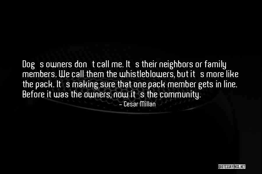 Weils Allentown Quotes By Cesar Millan Weils Allentown Quotes By Cesar Millan