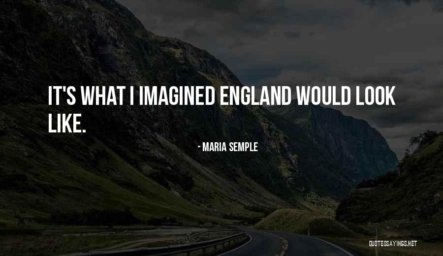 Weimaraners In Florida Quotes By Maria Semple Weimaraners In Florida Quotes By Maria Semple