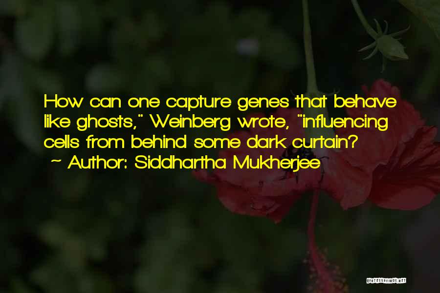 Weinberg Quotes By Siddhartha Mukherjee