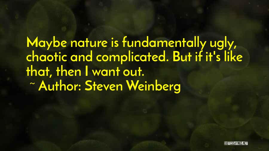 Weinberg Quotes By Steven Weinberg