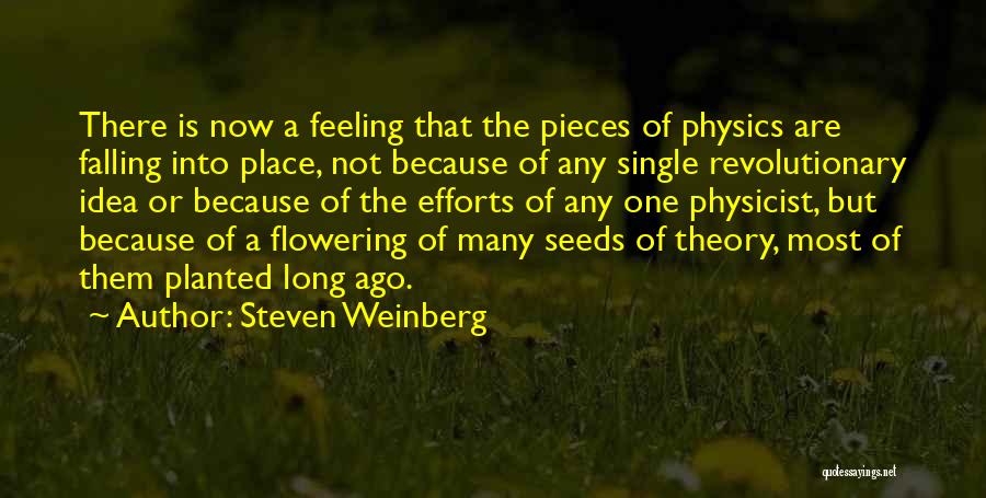 Weinberg Quotes By Steven Weinberg