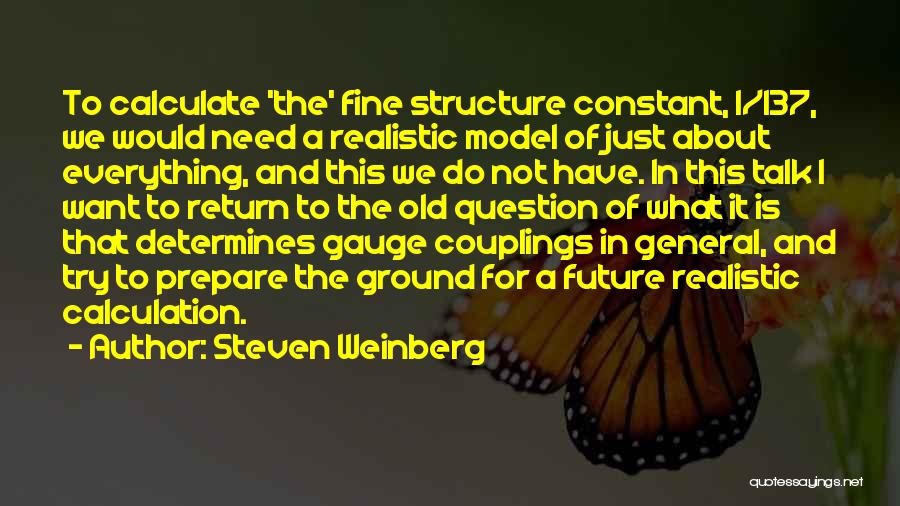 Weinberg Quotes By Steven Weinberg