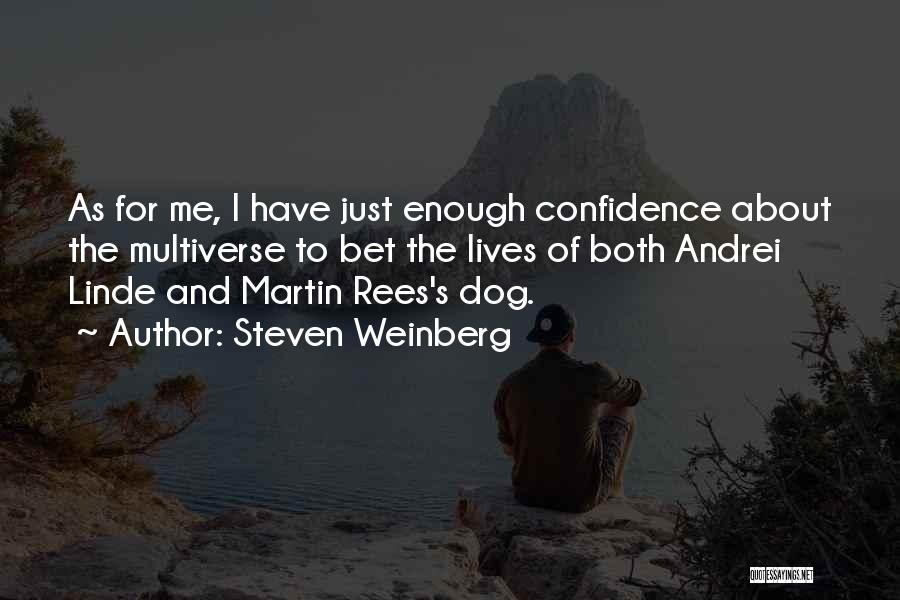 Weinberg Quotes By Steven Weinberg