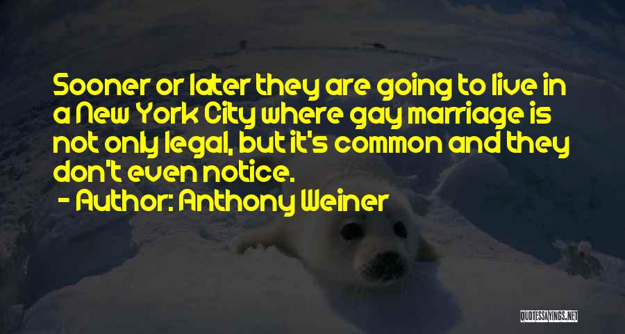 Weiner Quotes By Anthony Weiner