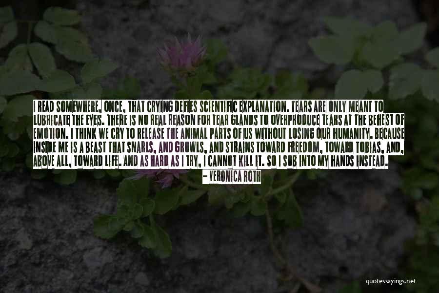 Weingart Ymca Quotes By Veronica Roth Weingart Ymca Quotes By Veronica Roth