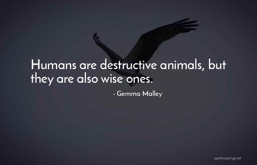 Weinzierl Obituary Quotes By Gemma Malley Weinzierl Obituary Quotes By Gemma Malley