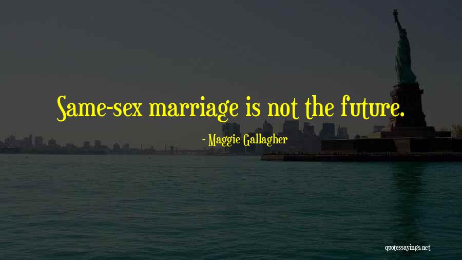 Weipert Quotes By Maggie Gallagher Weipert Quotes By Maggie Gallagher