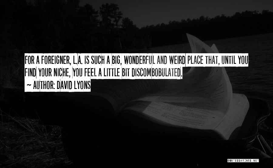 Weird And Wonderful Quotes By David Lyons