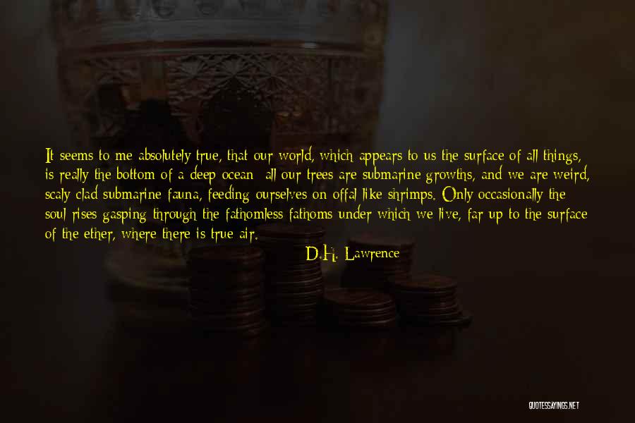 Weird But Deep Quotes By D.H. Lawrence