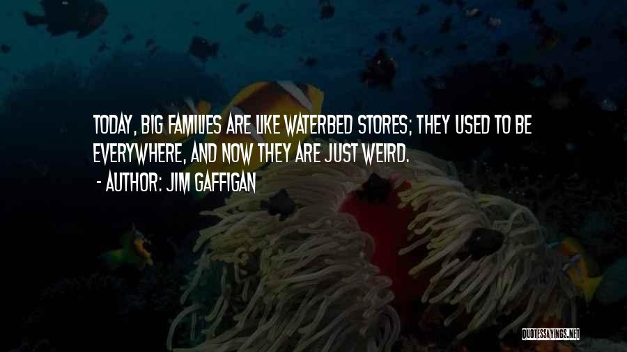 Weird Families Quotes By Jim Gaffigan