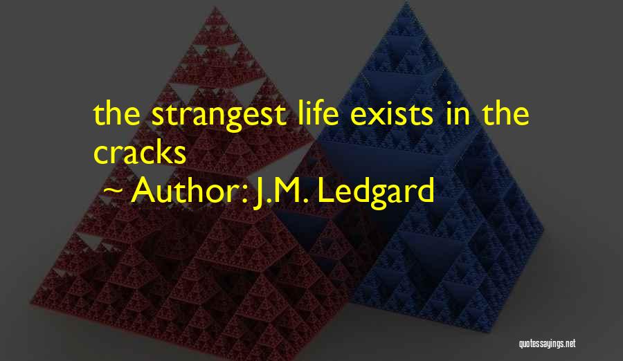 Weird Life Quotes By J.M. Ledgard