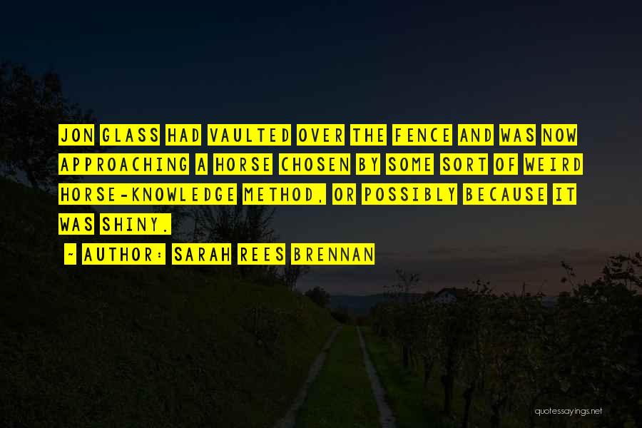 Weird Yet Funny Quotes By Sarah Rees Brennan