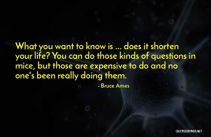 Weisgerber Consulting Quotes By Bruce Ames Weisgerber Consulting Quotes By Bruce Ames