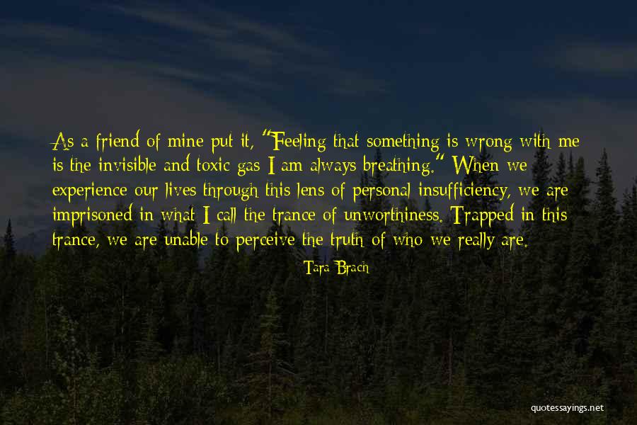 Weissenberg Effect Quotes By Tara Brach Weissenberg Effect Quotes By Tara Brach