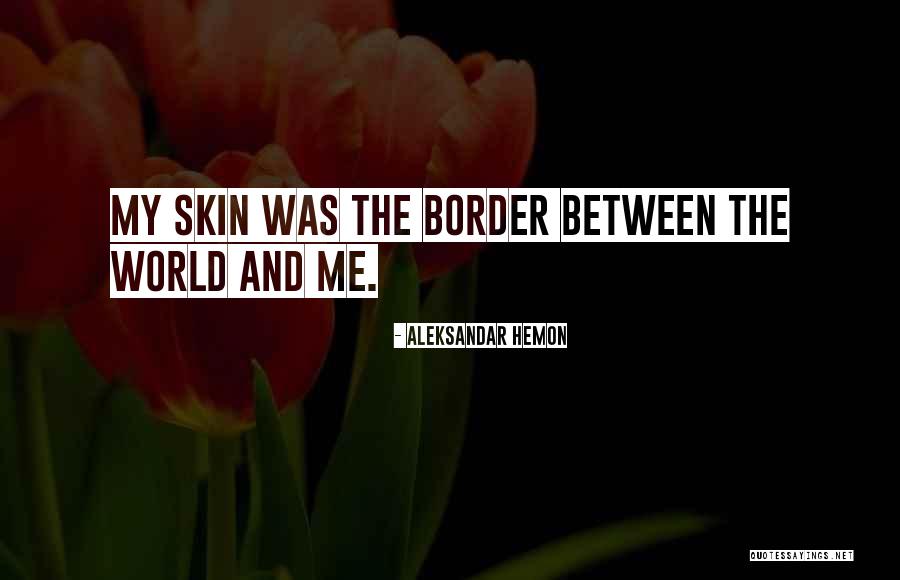 Weiterempfehlen Quotes By Aleksandar Hemon Weiterempfehlen Quotes By Aleksandar Hemon