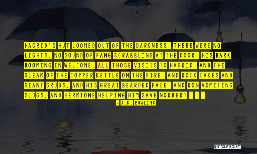 Weitsicht Gedicht Quotes By J.K. Rowling Weitsicht Gedicht Quotes By J.K. Rowling