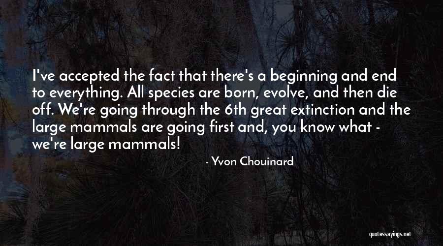 Weitzner Limited Quotes By Yvon Chouinard Weitzner Limited Quotes By Yvon Chouinard