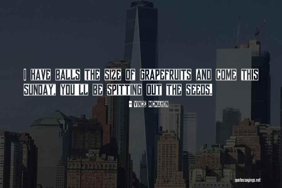 Weiwuer Quotes By Vince McMahon Weiwuer Quotes By Vince McMahon