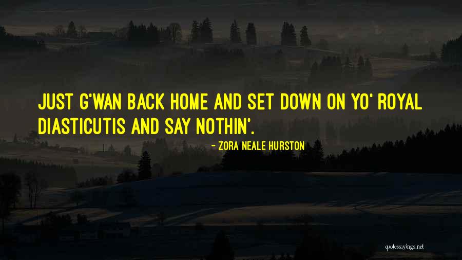Welcome Back Home Quotes By Zora Neale Hurston Welcome Back Home Quotes By Zora Neale Hurston