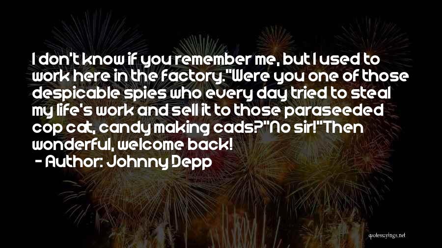 Welcome Back To Life Quotes By Johnny Depp