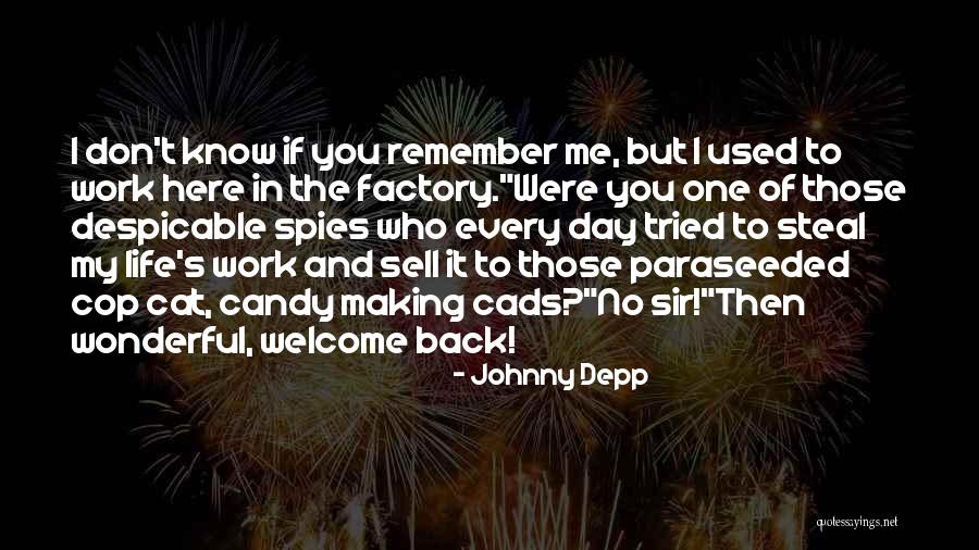 Welcome Back To Life Quotes By Johnny Depp