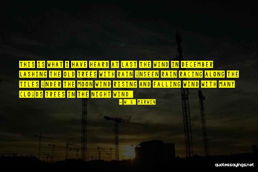 Welcome December Quotes By W.S. Merwin Welcome December Quotes By W.S. Merwin
