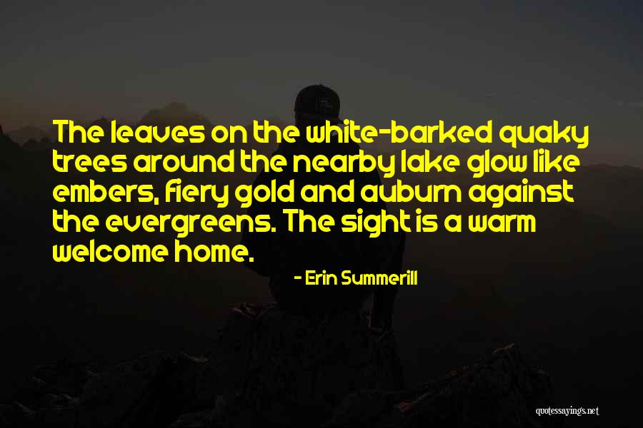 Welcome Home Quotes By Erin Summerill