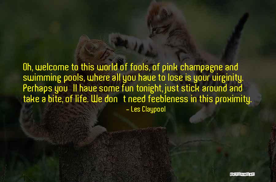 Welcome In Life Quotes By Les Claypool