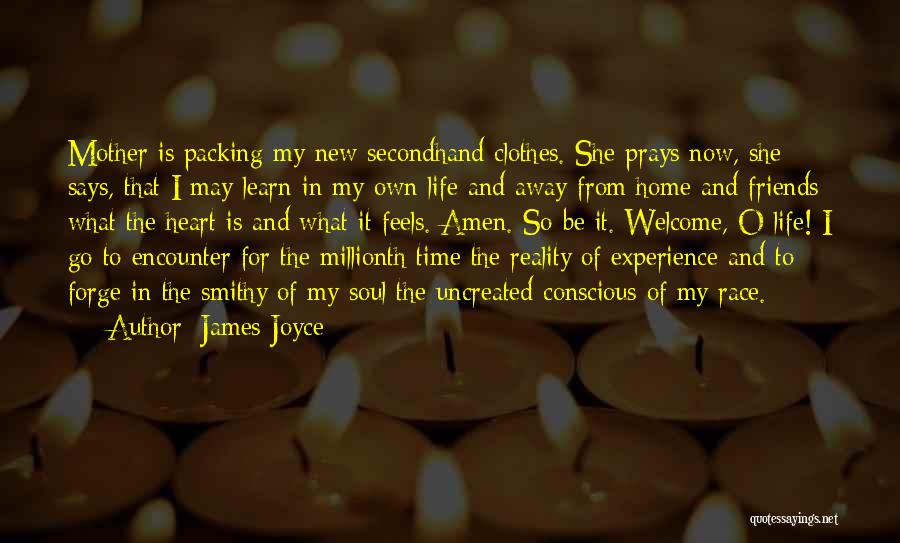 Welcome New Life Quotes By James Joyce