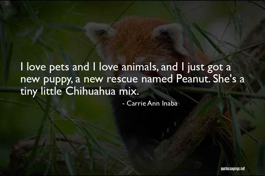 Welcome New Puppy Quotes By Carrie Ann Inaba