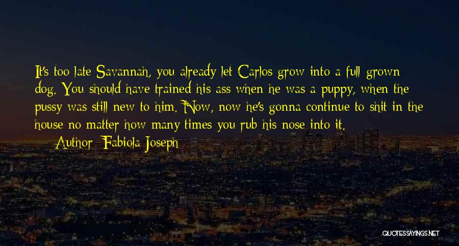 Welcome New Puppy Quotes By Fabiola Joseph
