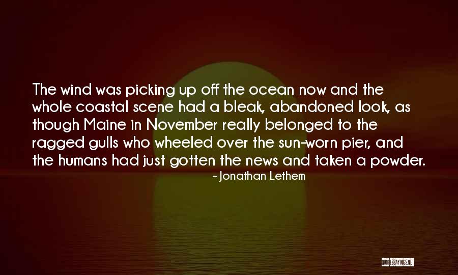 Welcome November Quotes By Jonathan Lethem