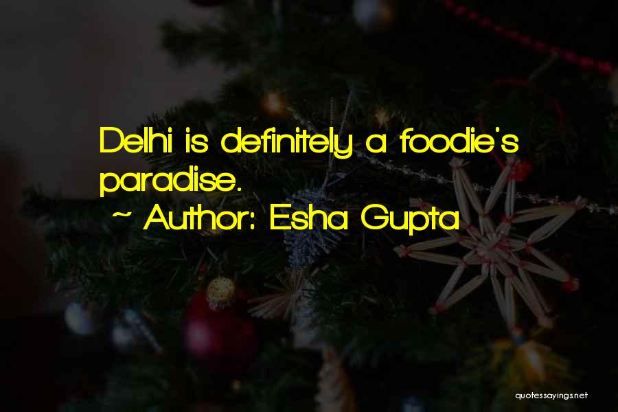 Welcome To Delhi Quotes By Esha Gupta