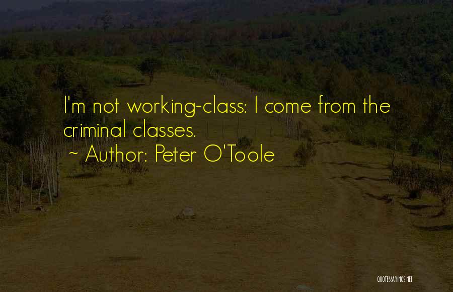 Welcome To My Class Quotes By Peter O'Toole