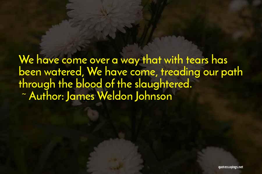 Weldon Johnson Quotes By James Weldon Johnson