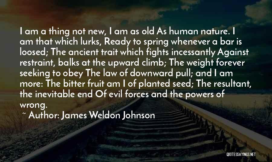 Weldon Johnson Quotes By James Weldon Johnson