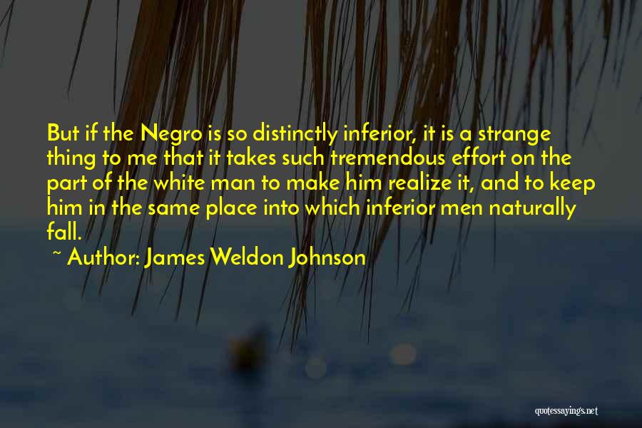 Weldon Johnson Quotes By James Weldon Johnson