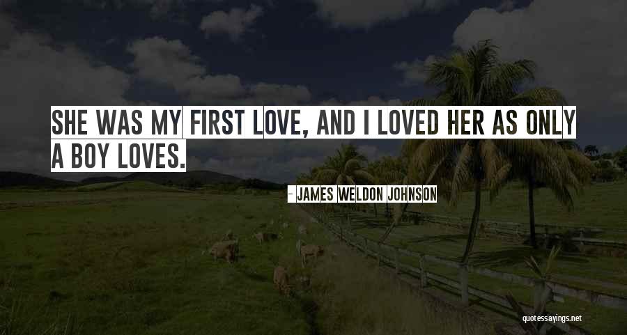 Weldon Quotes By James Weldon Johnson Weldon Quotes By James Weldon Johnson