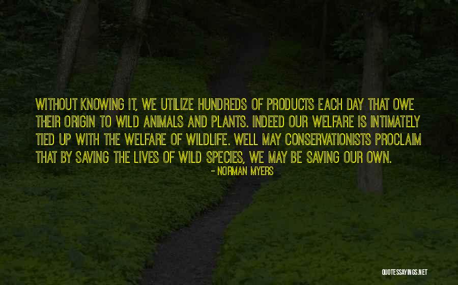 Welfare Of Humanity Quotes By Norman Myers Welfare Of Humanity Quotes By Norman Myers