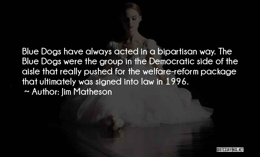 Welfare Reform Quotes By Jim Matheson