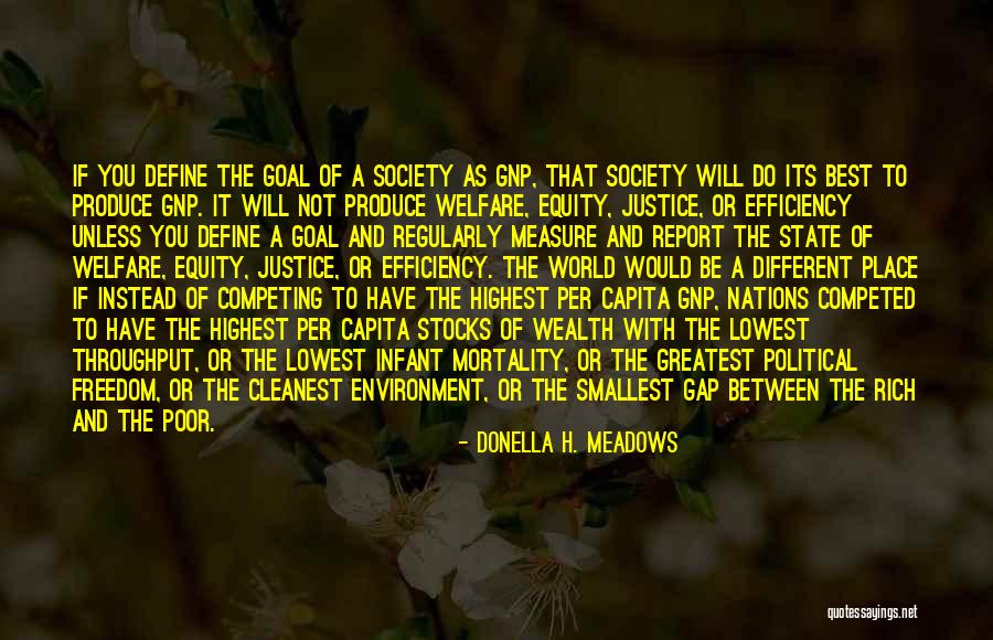 Welfare Society Quotes By Donella H. Meadows Welfare Society Quotes By Donella H. Meadows