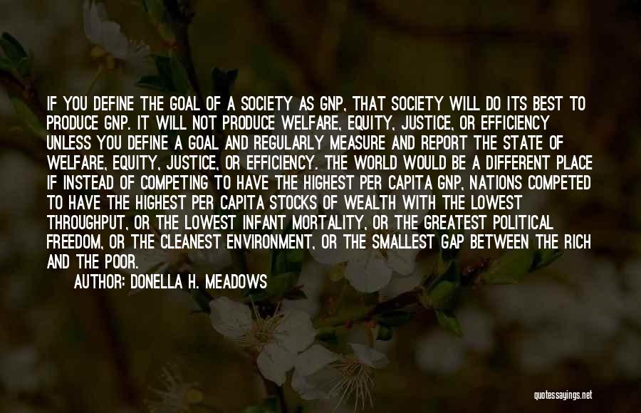 Welfare State Quotes By Donella H. Meadows