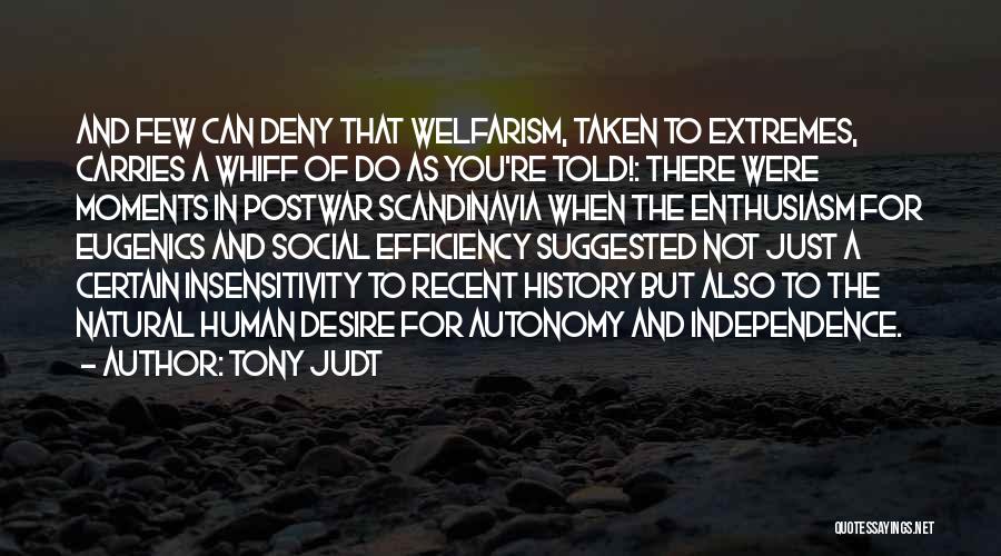 Welfarism Quotes By Tony Judt